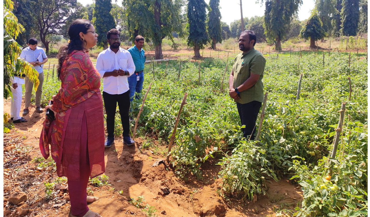 ITDA-Utnoor PO inspects rose garden, veg crops in Bellampalli