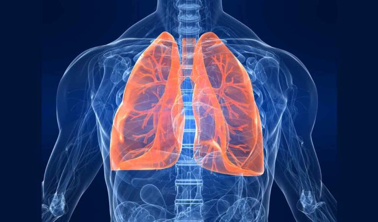 Lung