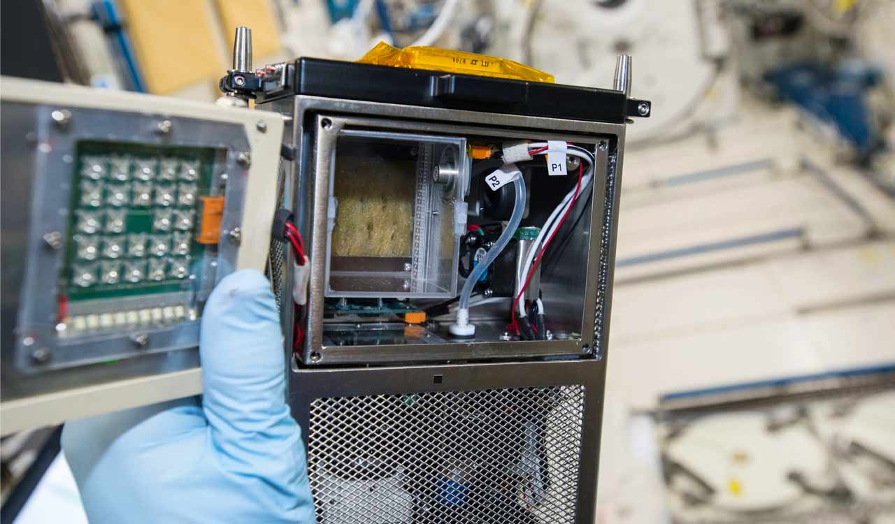 NASA expedition 71 astronauts to conduct crucial space research