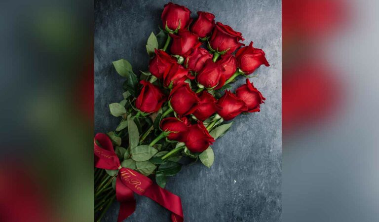 Red Roses