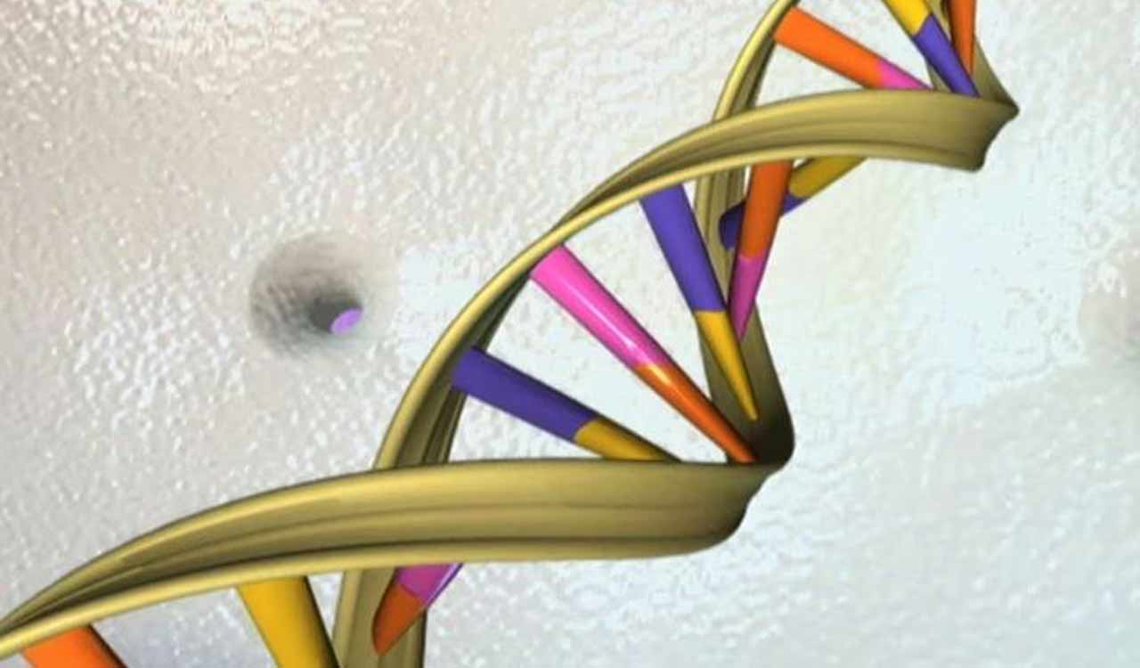NIH discovers 275 million new genetic variants
