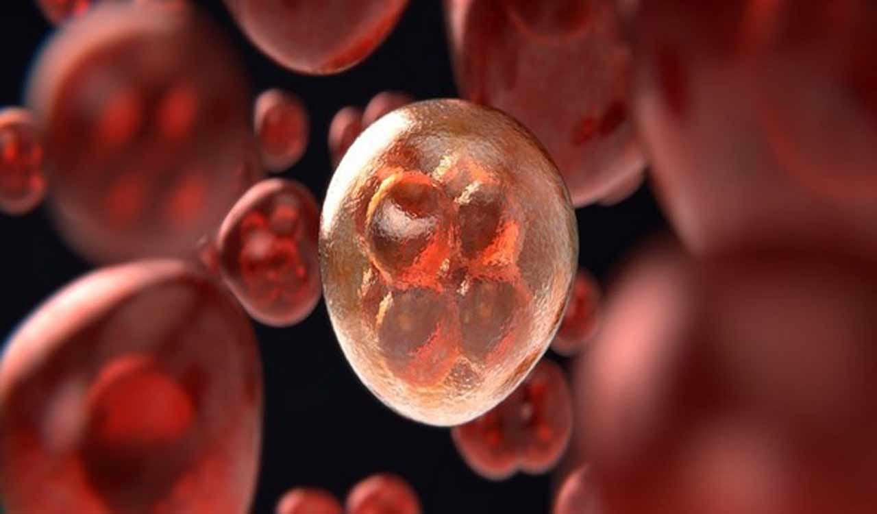 US reports first human Bubonic Plague case in nearly a decade