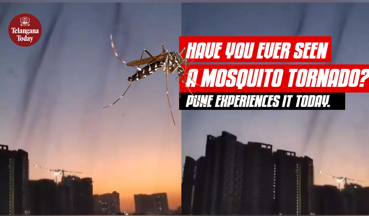 Mosquito Tornado in Pune | Health Concerns in Pune with Rising Water Levels | Pune News Today