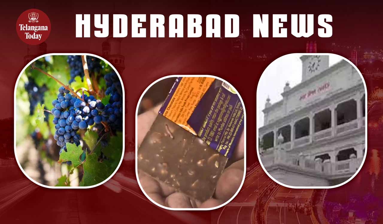Hyderabad News Grape Festival, GHMC On Cadbury Worm Incident, Lucknow Municipal Corporation