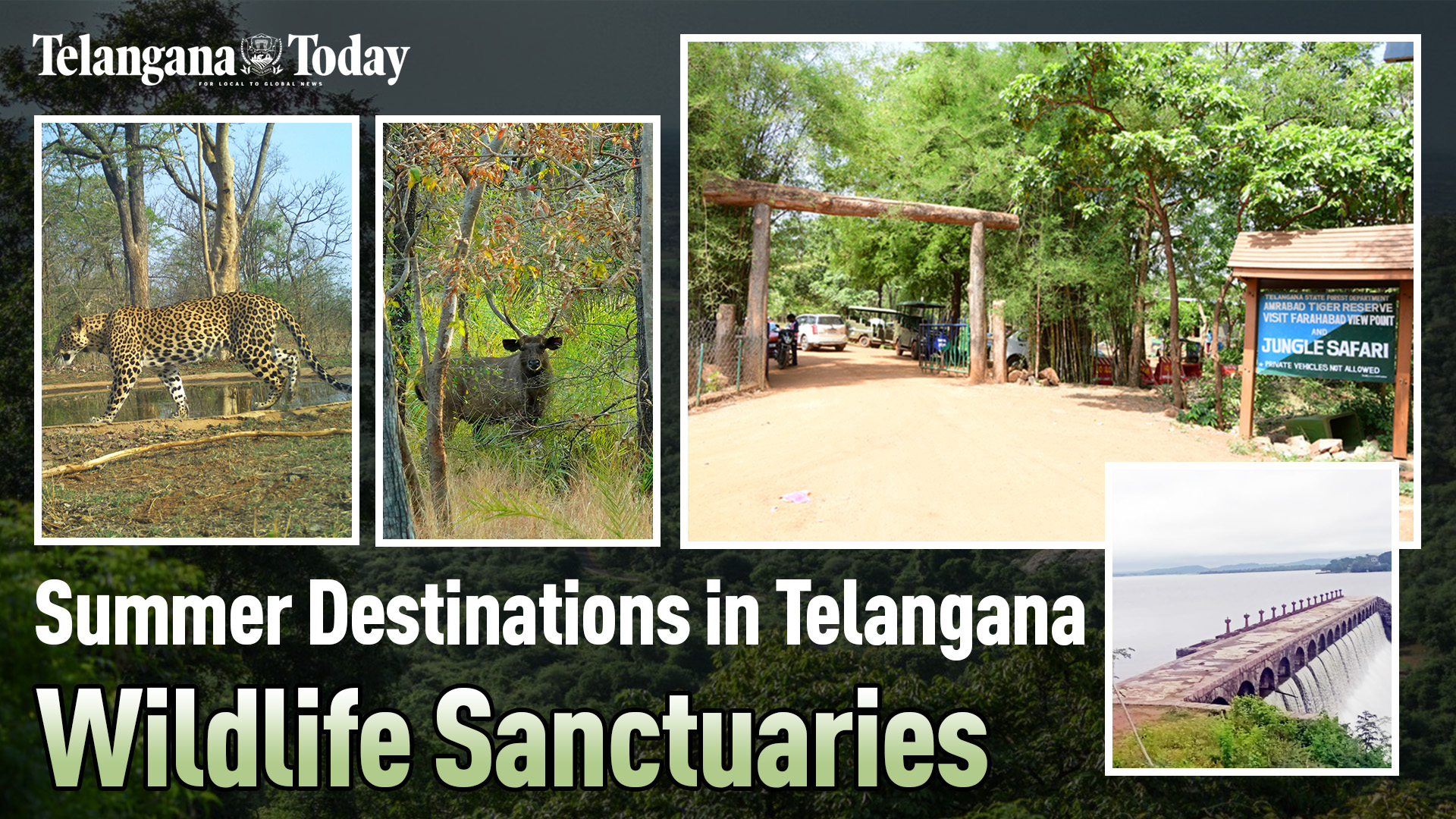 Wildlife Sanctuaries in Telangana are new Summer Destinations | Pocharam, Srisailam, Amrabad
