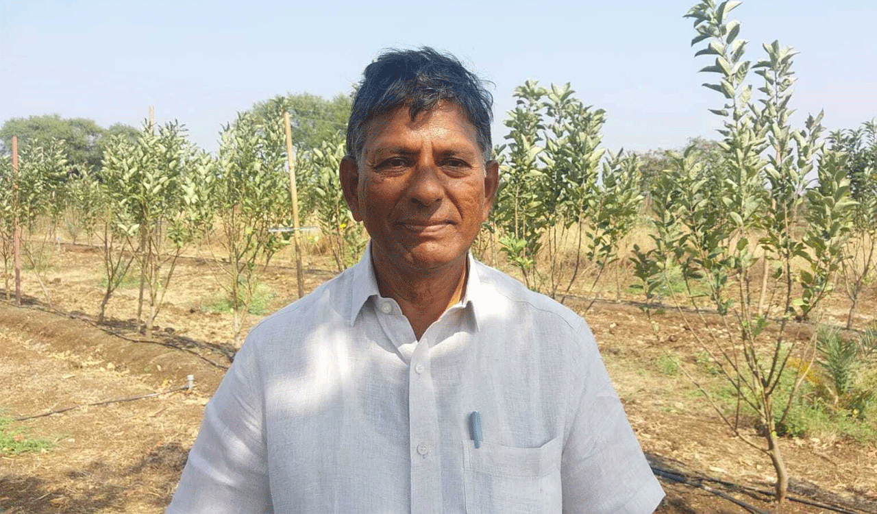 Retired BHEL employee reaps success with apple farm