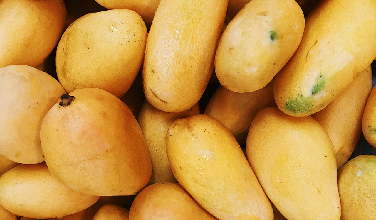 Mango farmers in erstwhile Mahabubnagar hope for better days ahead