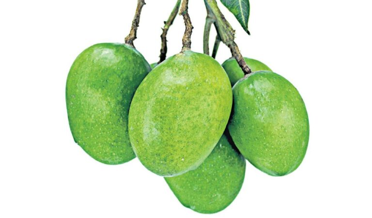 Mangoes