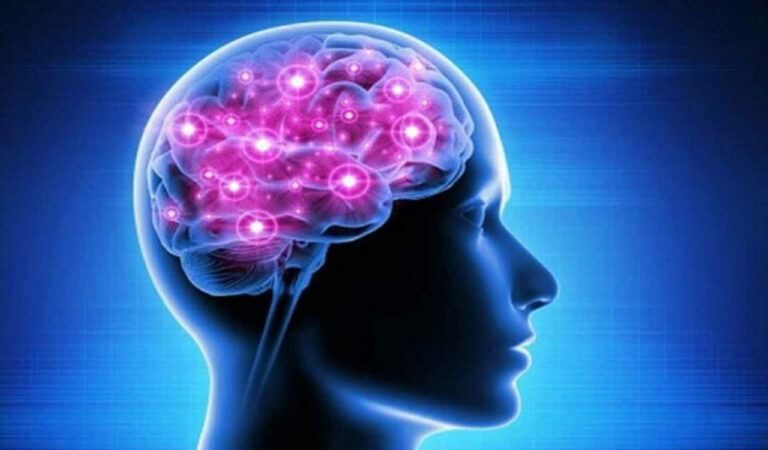 Study Decodes How Human Brain Plans Before Speaking