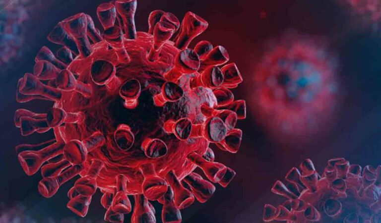Study Finds Clue To Why Men Had Worse Outcomes During Covid Pandemic
