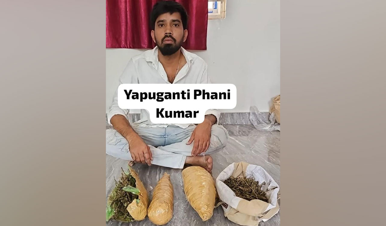 Telangana: Network engineer peddling Marijuana nabbed in Hyderabad