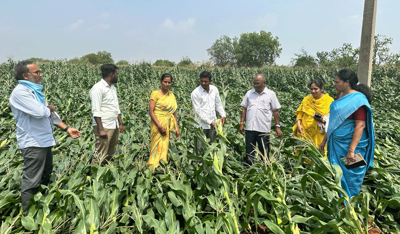 Untimely rains: Death toll four, 5,000 acres damaged in erstwhile Medak