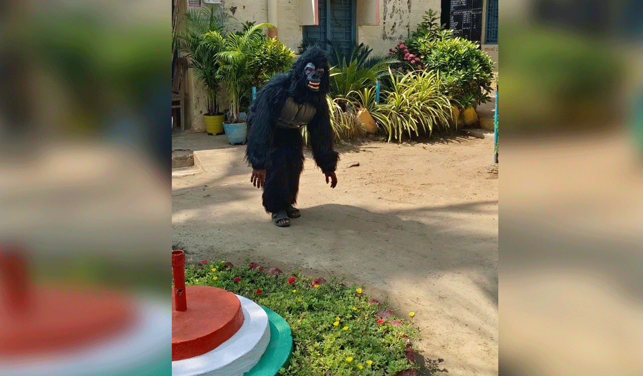 Panchayat secretary in Kothagudem puts on ‘gorilla’ costume to scare away monkeys