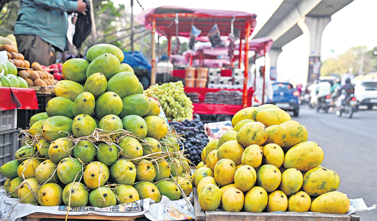 Mangoes