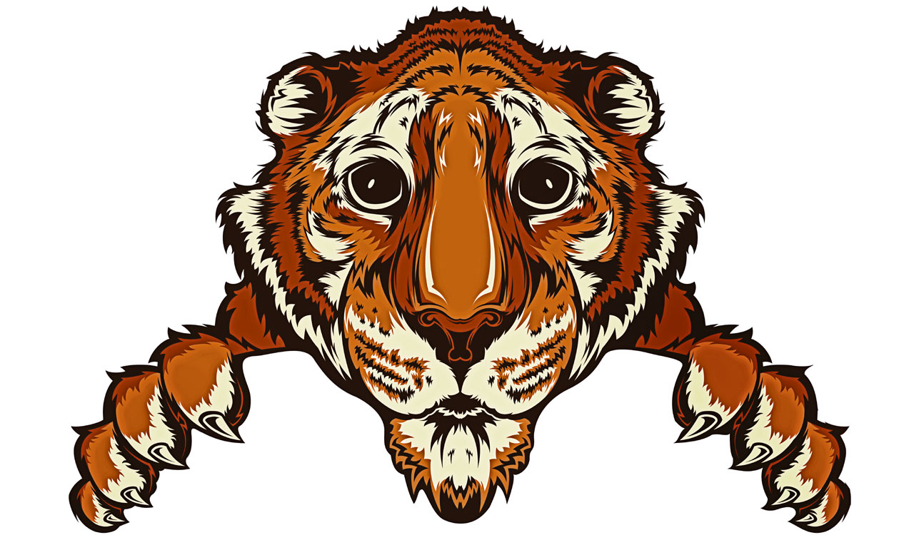 Rewind: Big deal for big cats