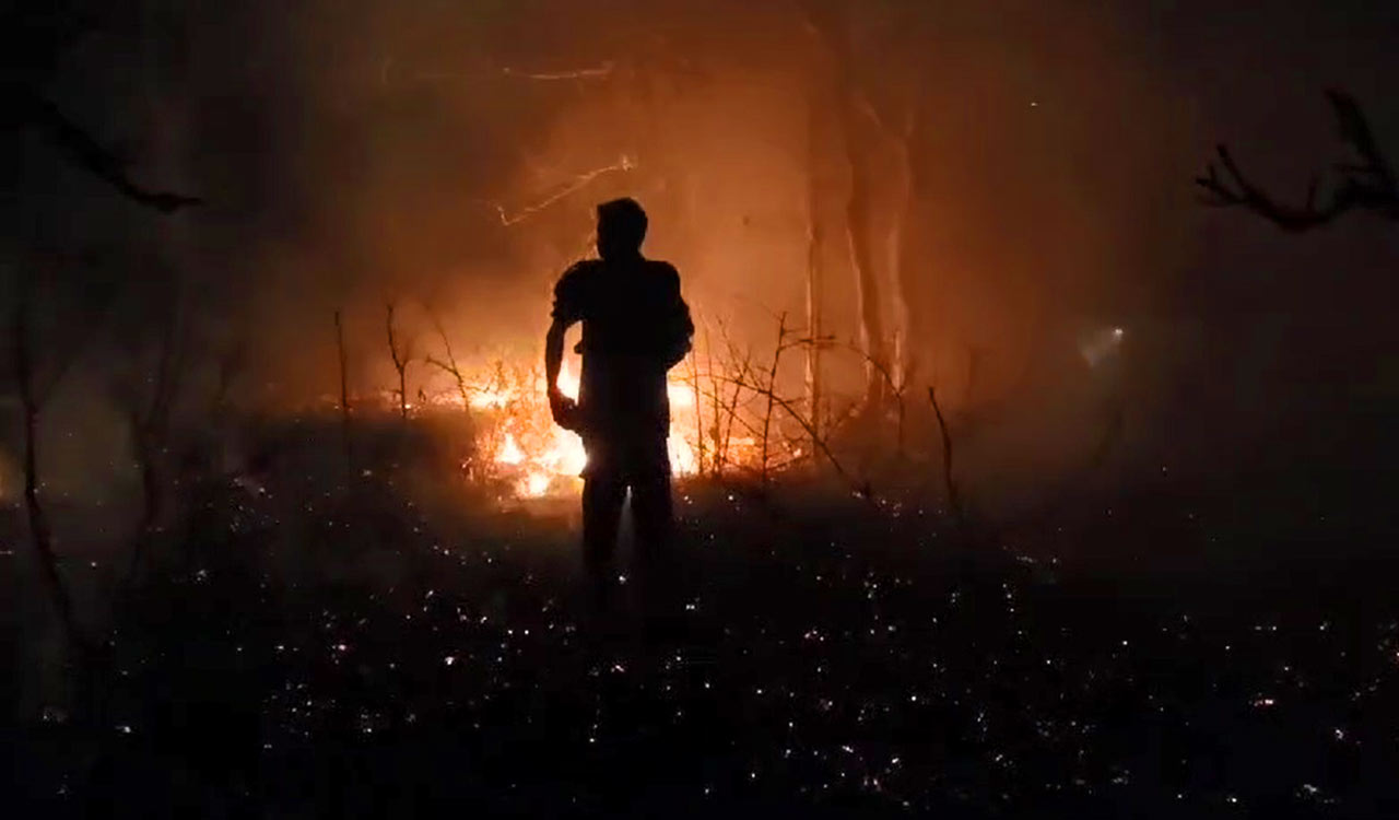 Wild fires continue to threaten Telangana’s forests