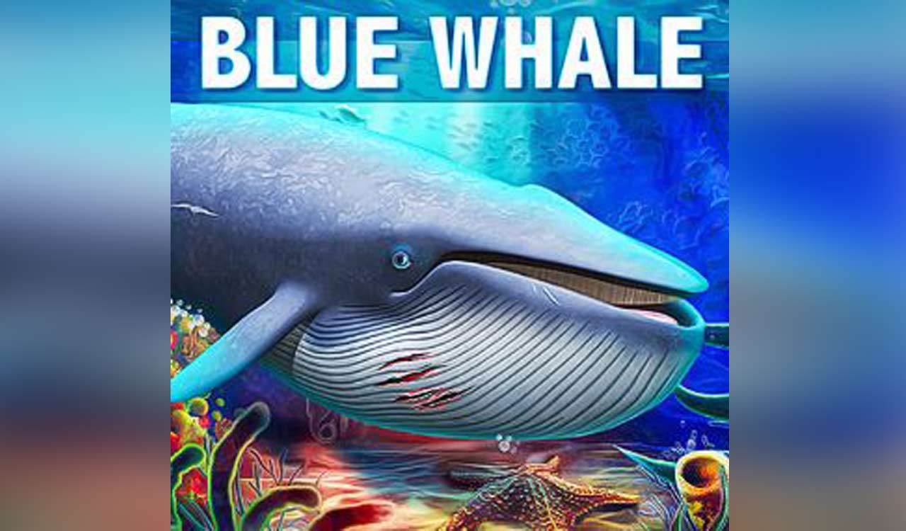 Indian student’s death in US possibly tied to Blue Whale suicide game