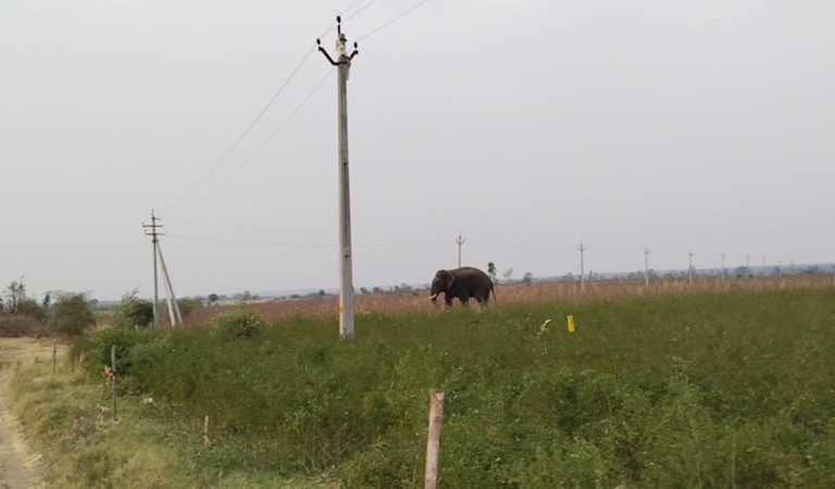 Telangana