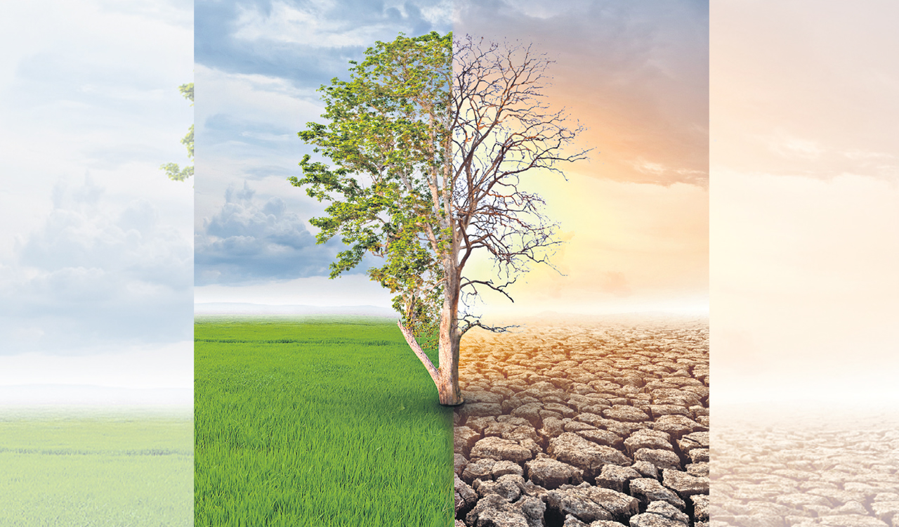 Opinion: Right against climate change