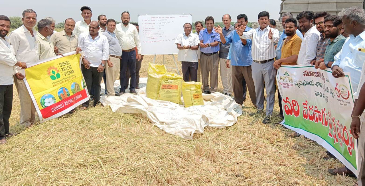 Siddipet farmers reap rewards with direct seeding of paddy