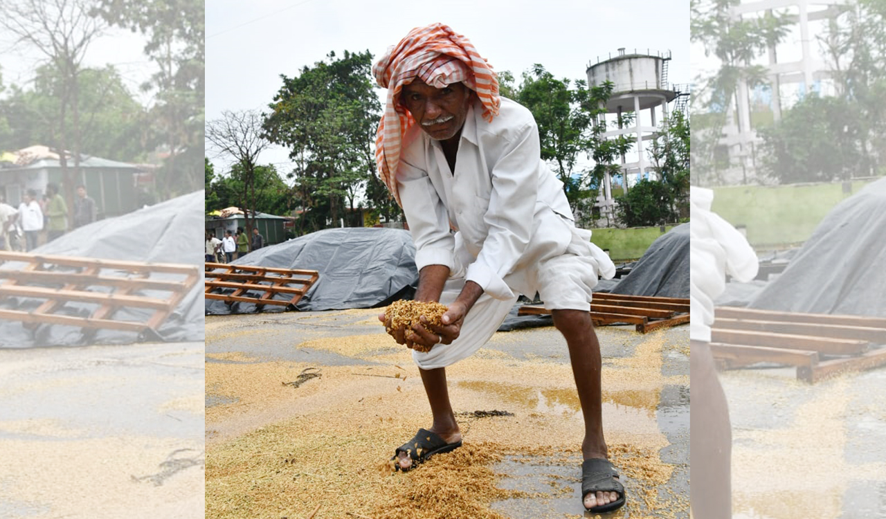 Rain ravage extensive in Telangana