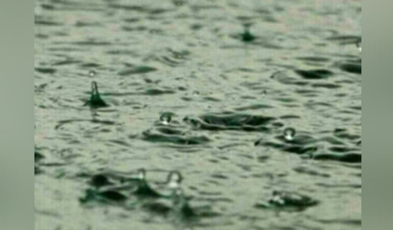 Rain