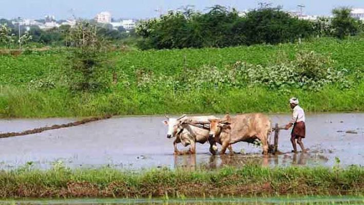 Farm loan waiver before August 15, says Revanth Reddy