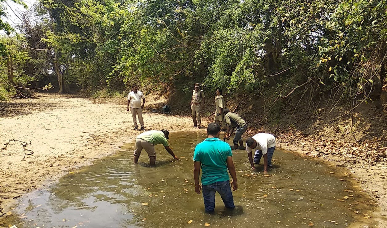 Efforts made to quench thirst of wild animals in Mancherial