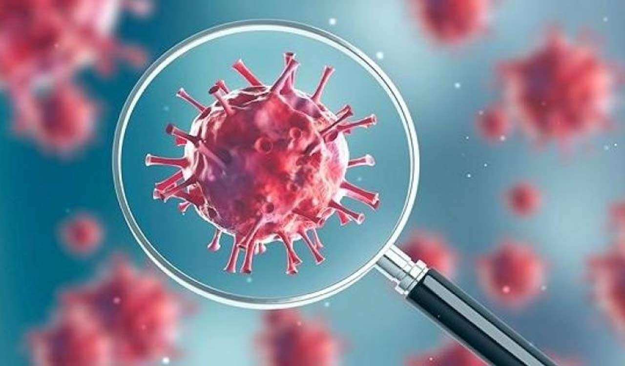 Young adults’ lungs more vulnerable to SARS-CoV-2: Study