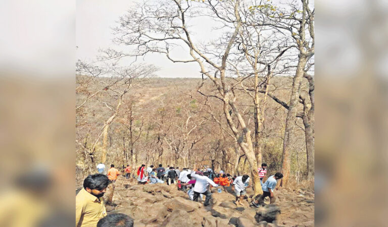 Nagarkurnool: Saleshwaram Jathara commences