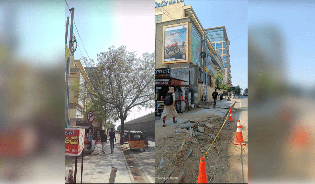 Hyderabad: Tree near Lulu Mall translocated despite high risk during summer