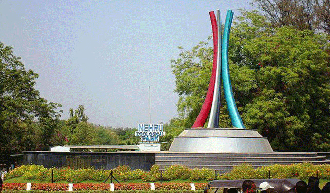 World Earth Day: Visitors try their hands at pottery and other articles using clay