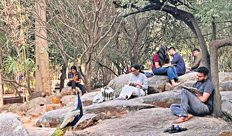 Discover social circles in city