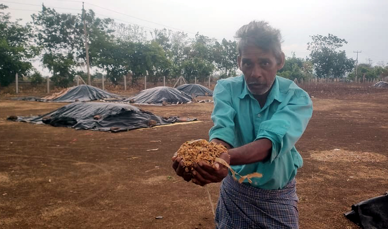 Parts of erstwhile Adilabad see hailstorms, gales