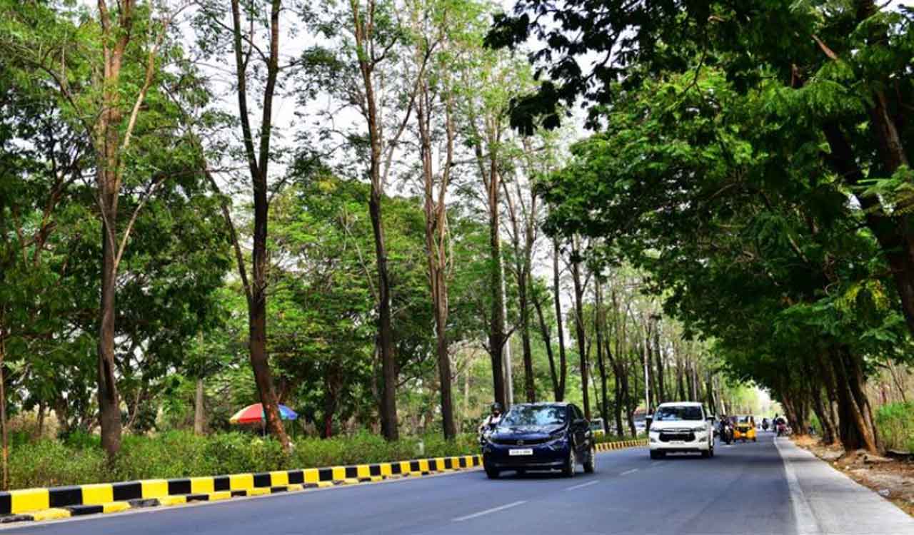 Hyderabad tops City Nature Challenge for second time