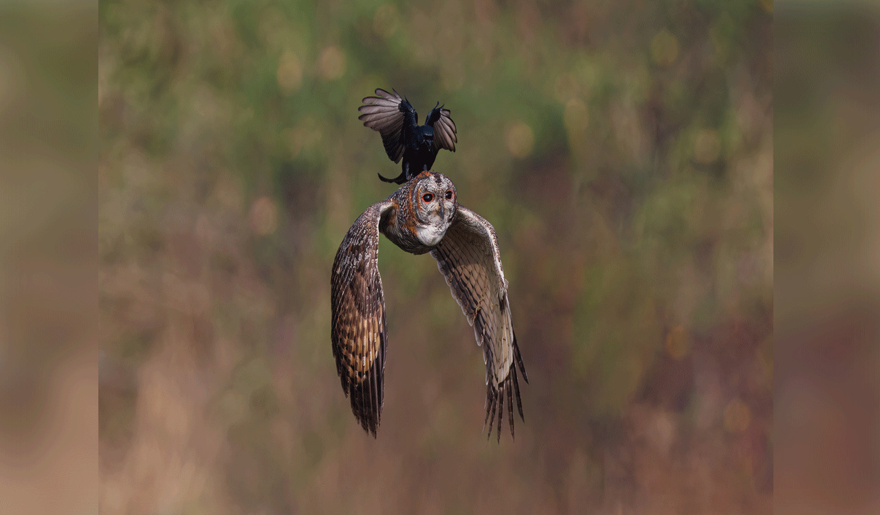 Hyderabad photographer’s pic featured in 100 best pics in world