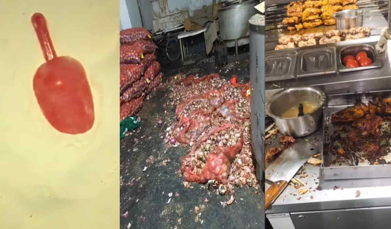 Hyderabad: Maida, infested with black beetles, found at Rayalaseema Ruchulu in Lakdikapul