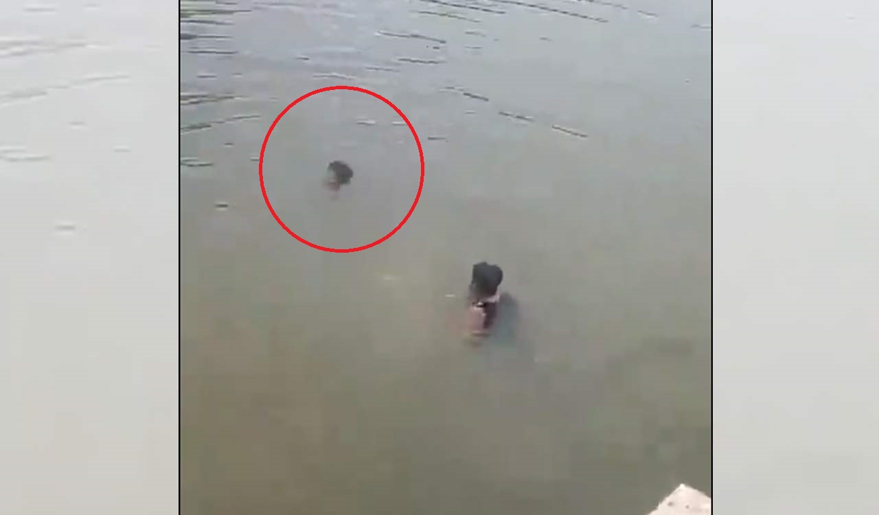 Watch: Hyderabad man drowns in Kalaburagi lake while video being recorded