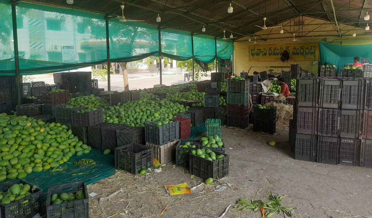 Mango business moves at lethargic pace in Jagtial