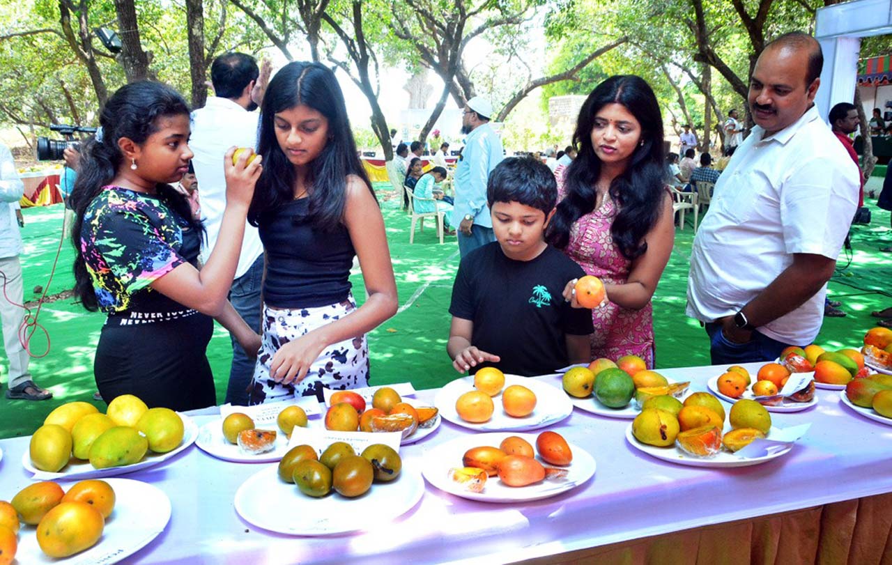 Focus on exports to enhance profits on Mango farming: Horticulture VC suggests