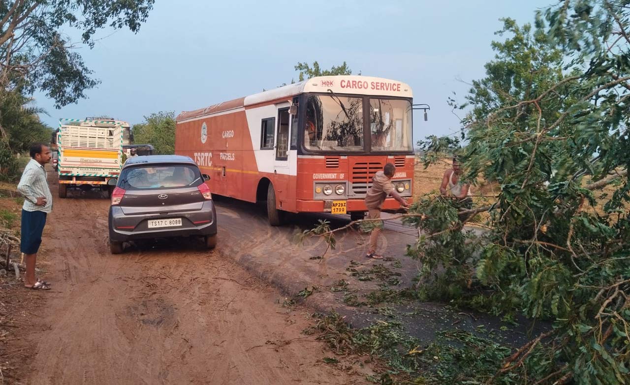 Trees, electric poles uprooted as rains hit Medak