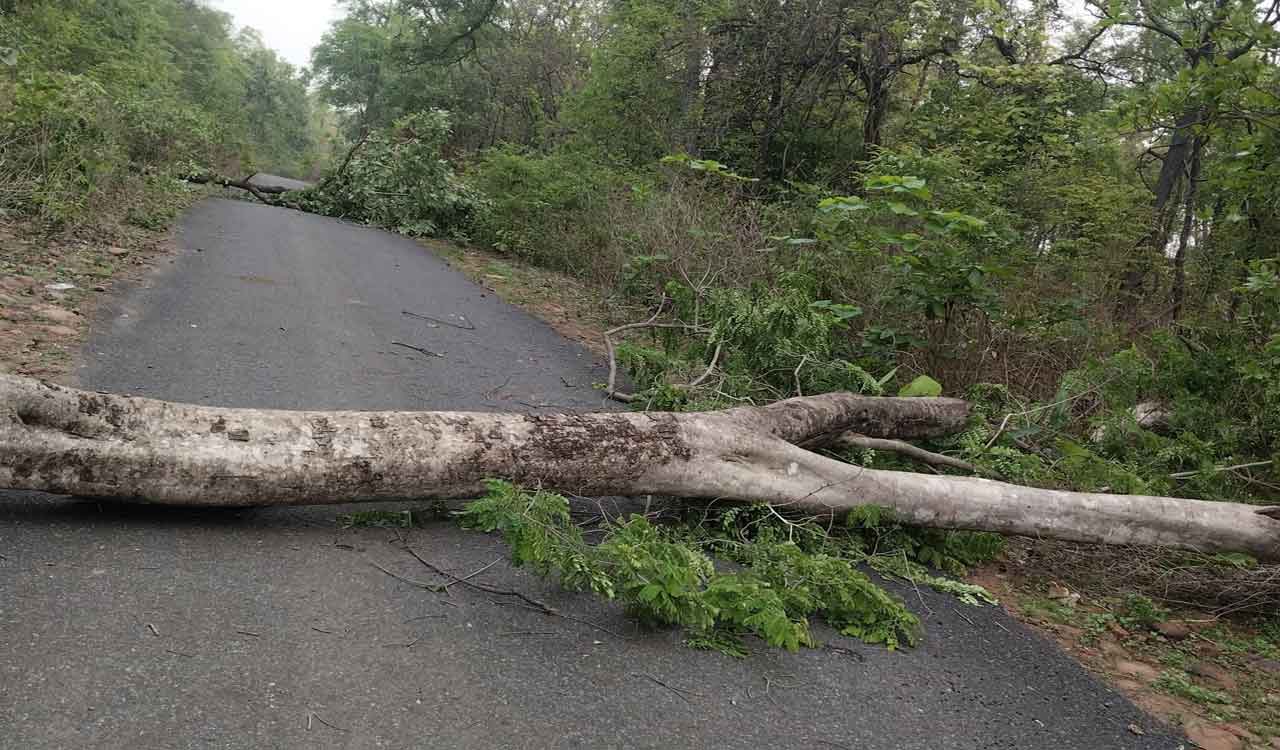 Tribals suffering badly due to barbaric acts of Maoists: Kothagudem SP