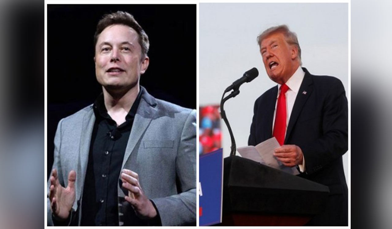 Trump eyes Elon Musk for White House advisory role if elected: Report