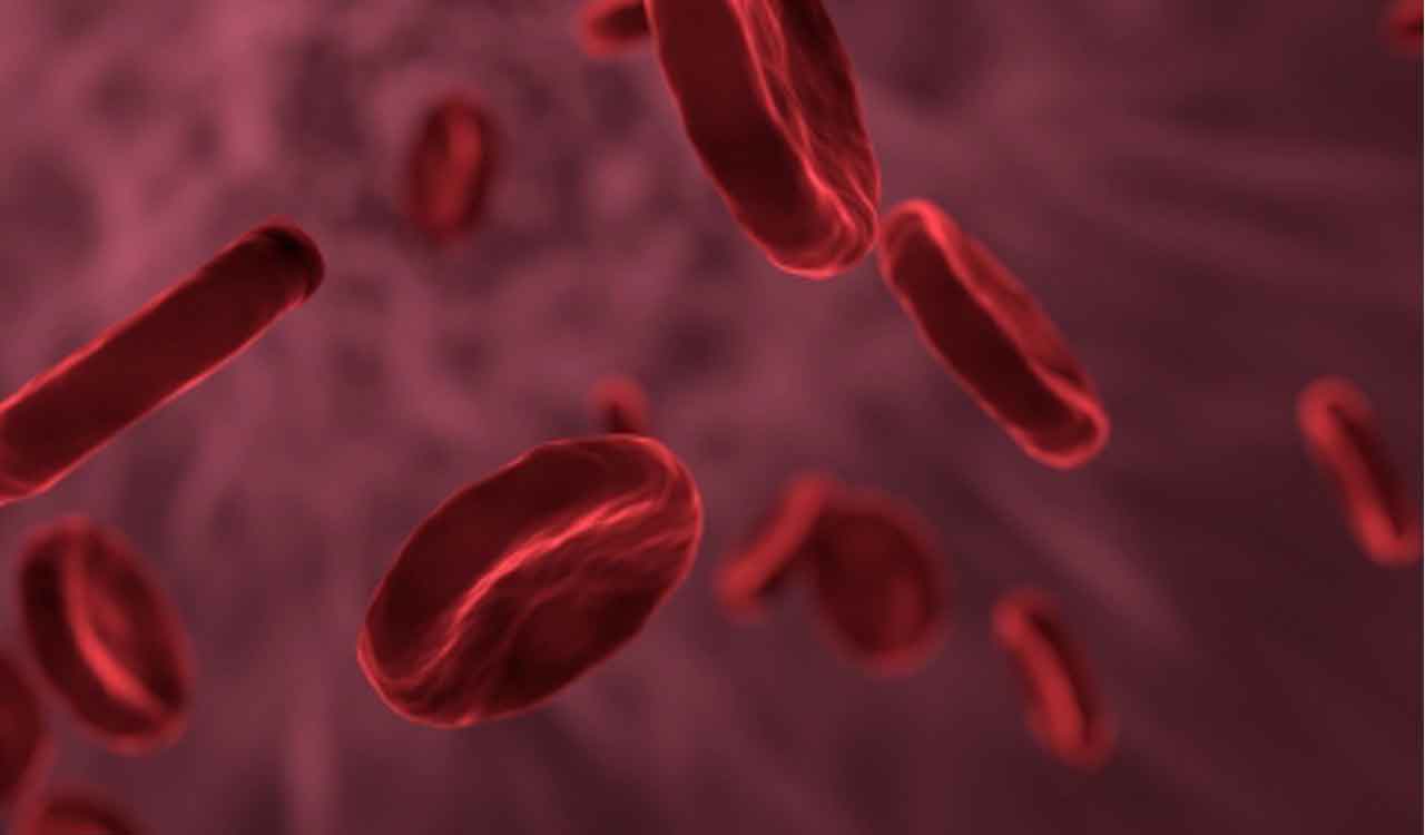 Why is India the thalassemia capital of the world?