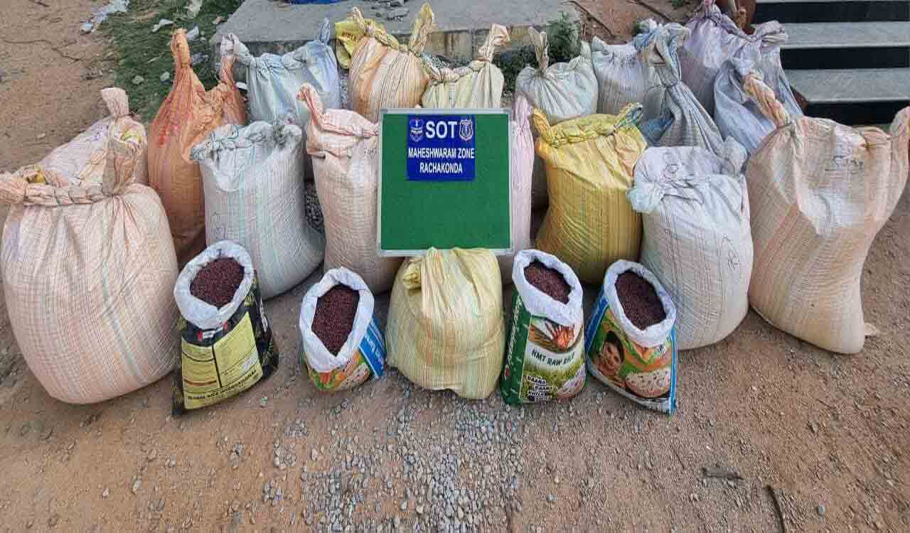 Gang held for selling spurious cotton seeds