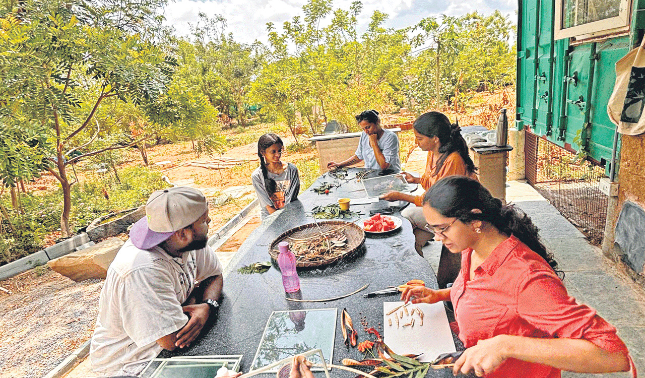 Explore the art of Cyanotypes