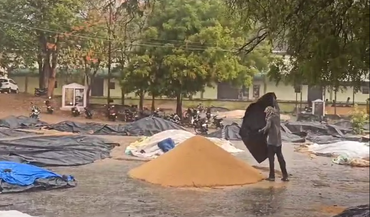Watch: Rain brings respite from soaring heat in Karimnagar; Paddy farmers worried over harvest getting soaked