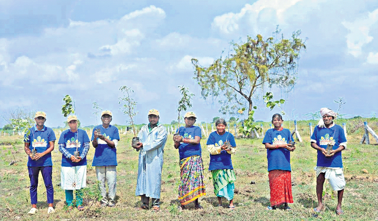Restoring natural habitat in State