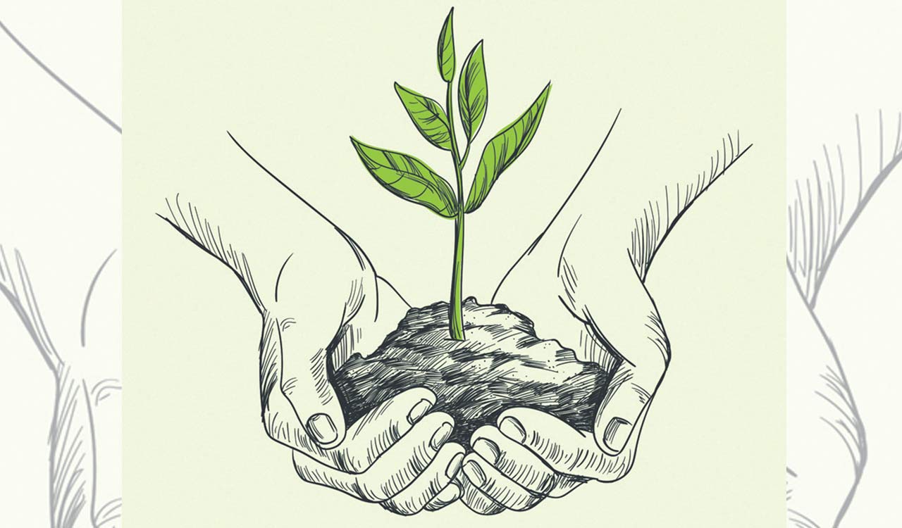 Opinion: Plant life, vegetal love