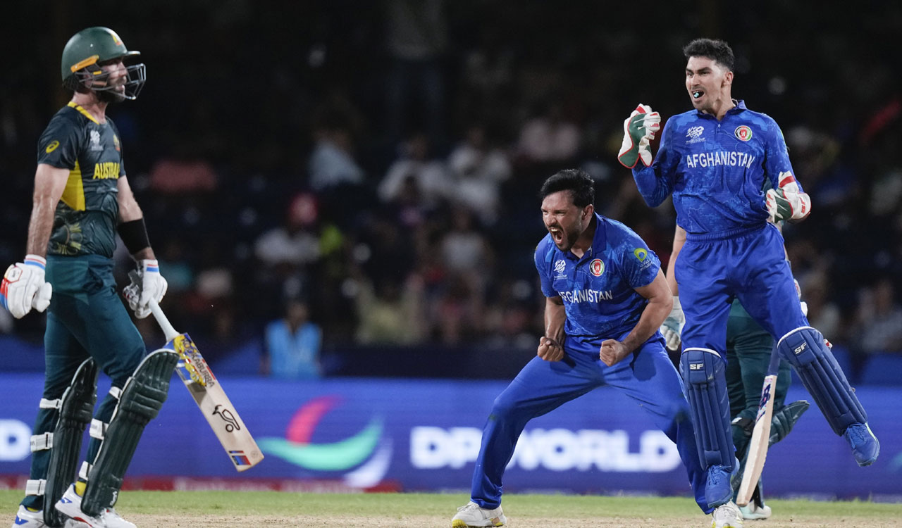 Afghanistan stun heavyweights Australia in T20 World Cup